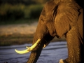 photogallery-10