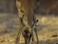 photogallery-131