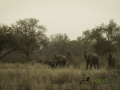 photogallery-137