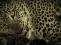photogallery-146