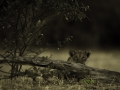 photogallery-156