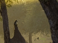 photogallery-158