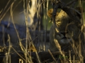 photogallery-159