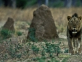 photogallery-177