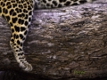 photogallery-191