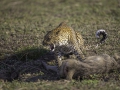 photogallery-193