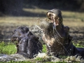 photogallery-200