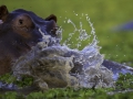 photogallery-204