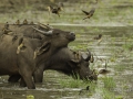 photogallery-21