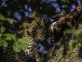 photogallery-220