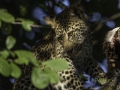 photogallery-222