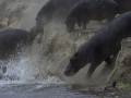photogallery-239