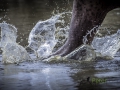 photogallery-241