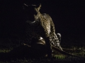 photogallery-246