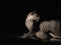 photogallery-247