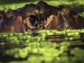 photogallery-253