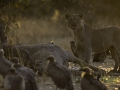 photogallery-267