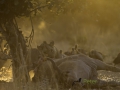 photogallery-268