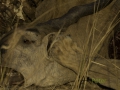 photogallery-274