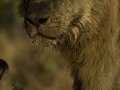 photogallery-275