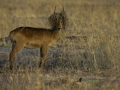 photogallery-277