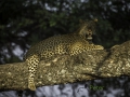 photogallery-305