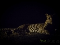 photogallery-306