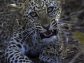 photogallery-309