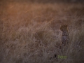 photogallery-318