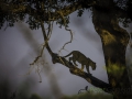photogallery-328