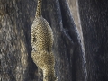 photogallery-332