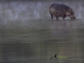 photogallery-51