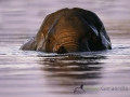 photogallery-60