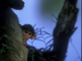 photogallery-7