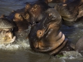photogallery-84