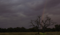 photogallery-107