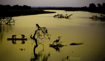 photogallery-130