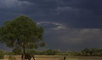 photogallery-176