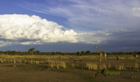 photogallery-183