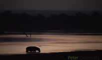 photogallery-192