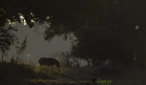 photogallery-210