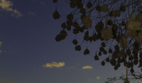 photogallery-245