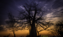 photogallery-279