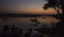 photogallery-282