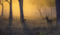 photogallery-289