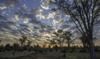 photogallery-291