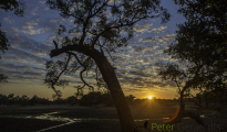 photogallery-292