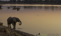 photogallery-293
