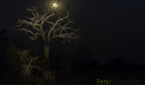 photogallery-323