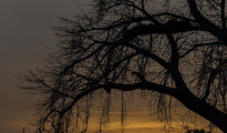 photogallery-325